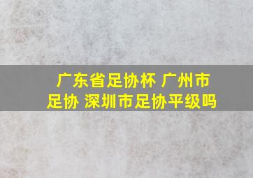 广东省足协杯 广州市足协 深圳市足协平级吗